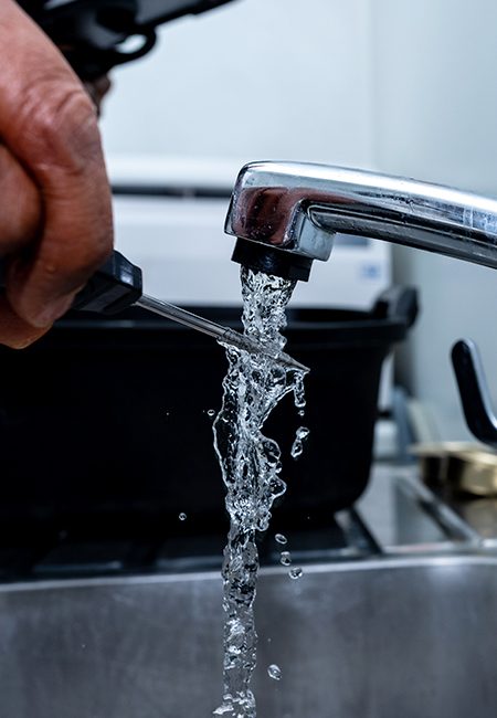 watersammid